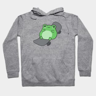 Cute Fat Frog on Skateboard, Kawaii Cottagecore Aesthetic for Skateboarding Fans, Funny Chubby Skater Froge Hoodie